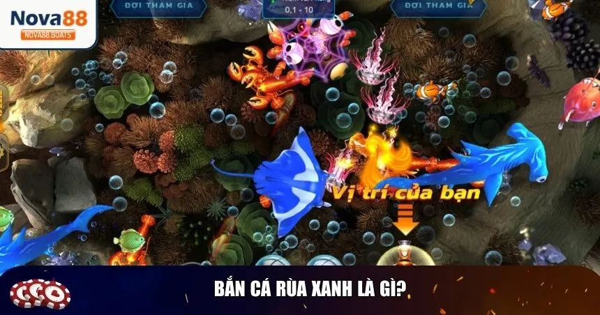 Giới thiệu chung về bắn cá rùa xanh