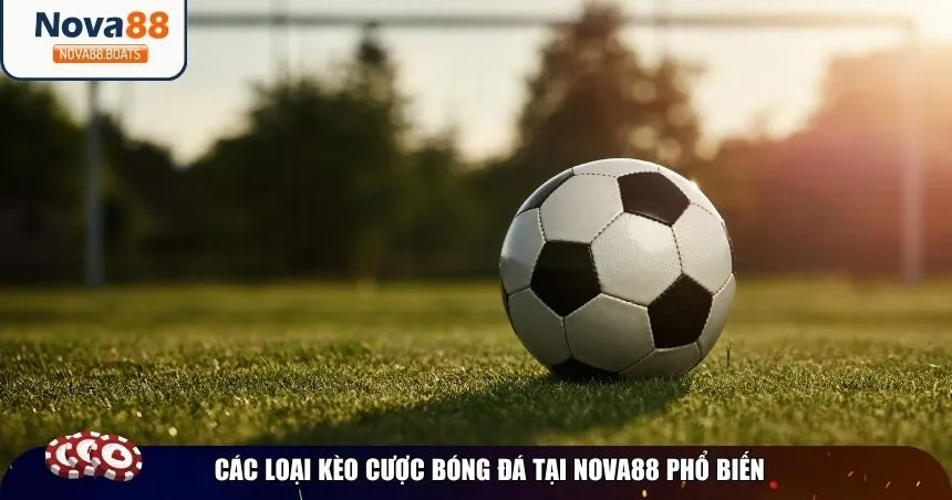 Các loại kèo cược bóng đá tại Nova88 phổ biến