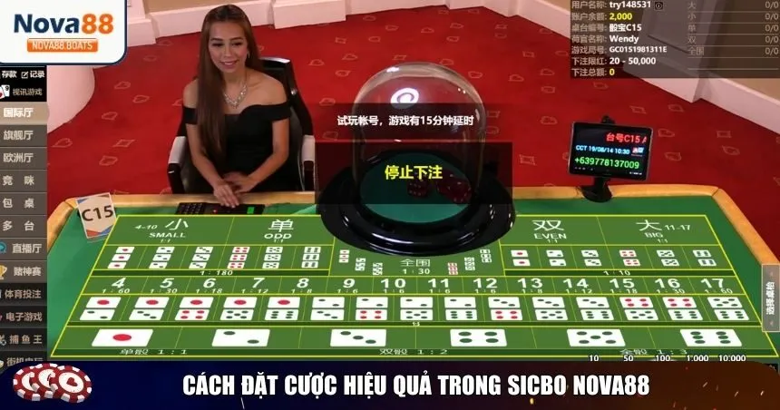 Cách đặt cược hiệu quả trong Sicbo Nova88