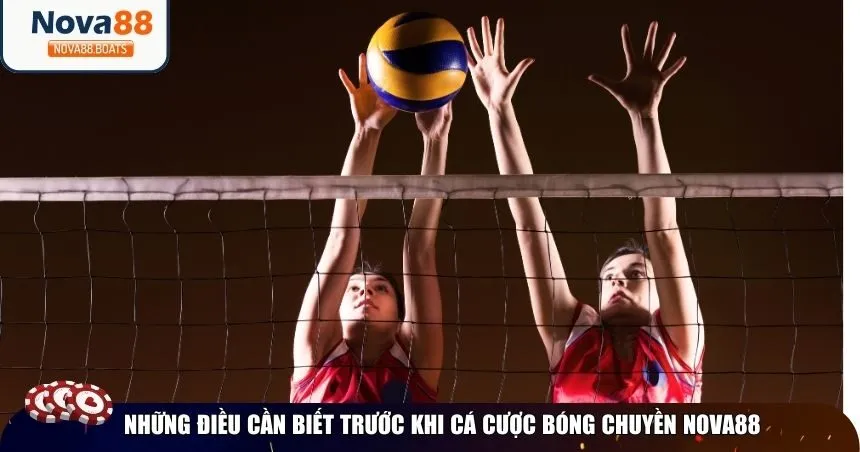 Những điều cần biết trước khi cá cược bóng chuyền Nova88